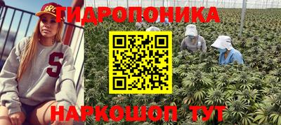 молекула духа Можга