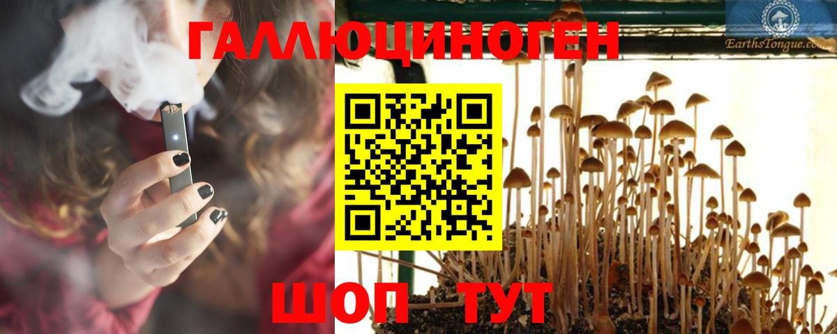 цена   Галлюциногенные грибы Psilocybe  Галлюциногенные грибы Magic Shrooms  Вход с VPN  Сосновоборск 